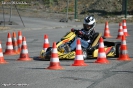 Kartslalom 14.06.2015_25