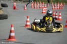 Kartslalom 14.06.2015_62