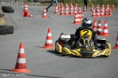 Kartslalom 14.06.2015_62