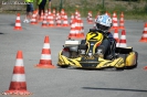 Kartslalom 14.06.2015