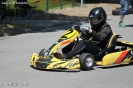 Kartslalom 14.06.2015_99